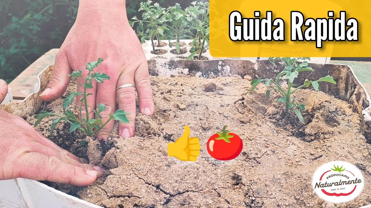 VASO DA FIORI Irrigazione E Fioriera Autoirrigazione Vaso Da Fiori - Foto 7