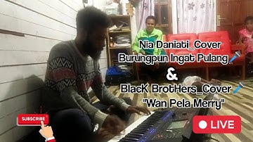 Nia Daniati_Burungpun Ingat Pulang & Wan Pala Meri_ BB Cover "Vian_18"