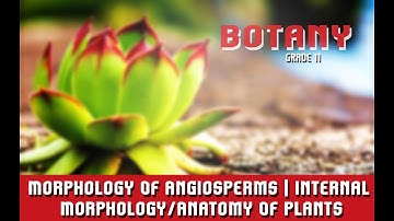 Morphology Of Angiosperms | Internal Morphology/Anatomy Of Plants | Introduction | Section 1