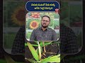 చెరుకు పంటలో వేరు కుళ్ళు అనేది పెద్ద సమస్యనా | T-SAT