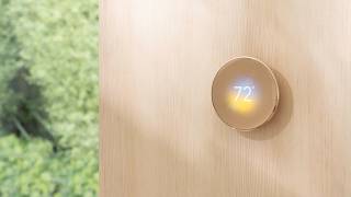 Google Drops Support for Nest Devices