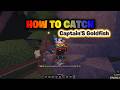 How To Catch Atlantean Captain's Goldfish #fisch #roblox
