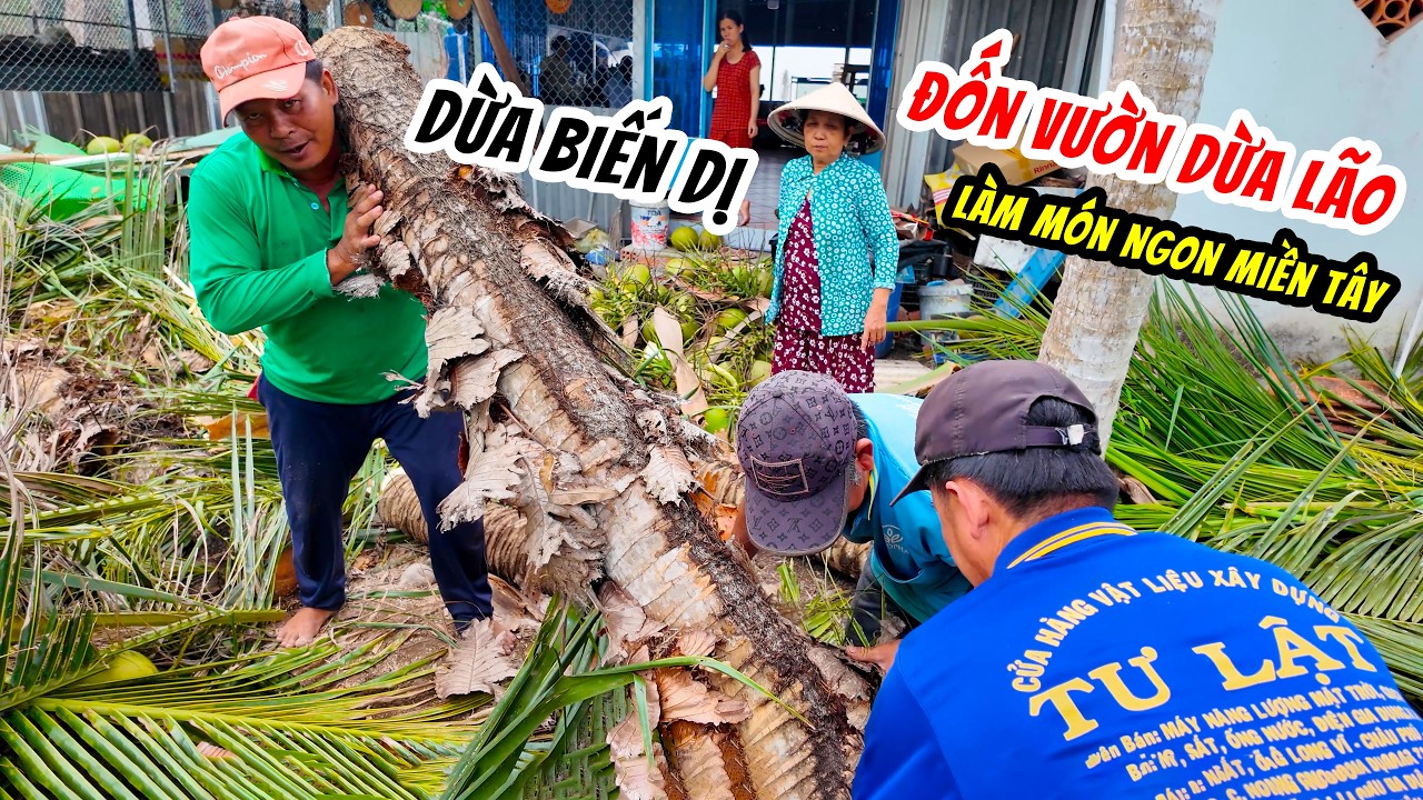 Đốn Vườn Dừa Lão Hơn 40 Năm Làm Toàn Món Ngon Miền Tây