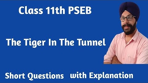 the tiger in the tunnel class 11 short question answers short questions pseb punjab board a panorama