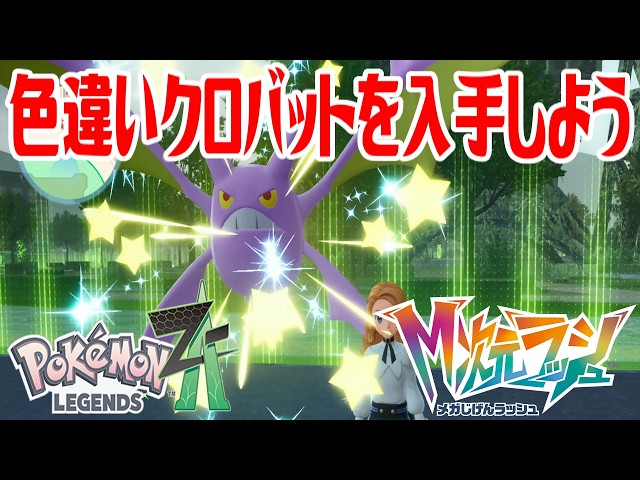 ポケモンZ-A】色違いクロバットを入手しよう 進化入手【Pokémon