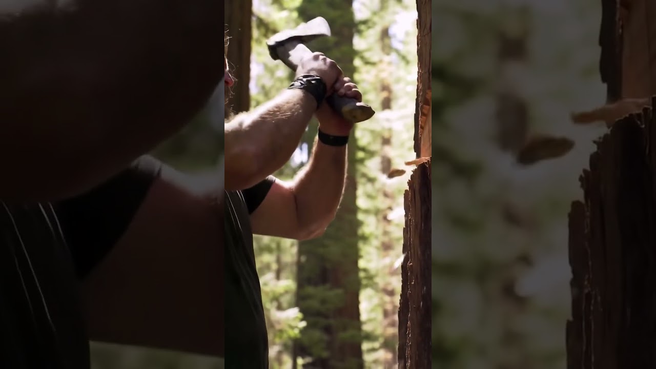 Prompt used: Man chopping off a tree in a forest with a stone axe