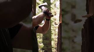 Prompt Used Man Chopping Off A Tree In A Forest With A Stone Axe