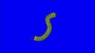 ✔️GREEN SCREEN EFFECTS: horror worm