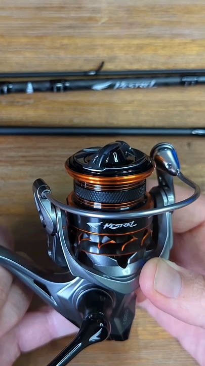 Best sounding drag? You decide! - Kastking Kestrel Ultralight Fishing Reel