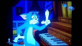 Tom and Jerry Tales: 'Bat What I Like About The South' (Clip #5) - TOM: AA! | by @Boomerang Asia