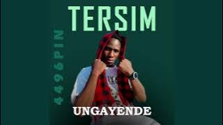 Tersim Ungayende (Official Audio)