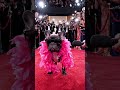🐶The Most Stylish Dog on the Red Carpet😎✨️