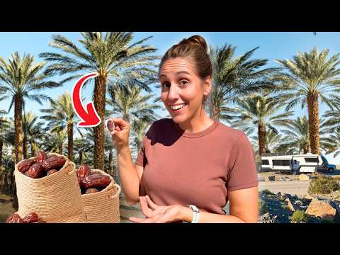 FARMING in the Arizona Desert RV Life in Yuma