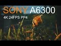 SONY A6300 4K VIDEO TEST