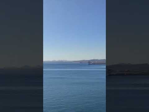 كروز السعوديه البحر الاحمر ميناء سفاجا مصر  