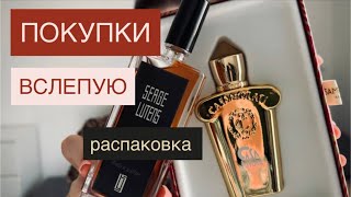 картинка: Первое впечатление Serge Lutens Ambre Sultan & Xerjioff Casafutura!