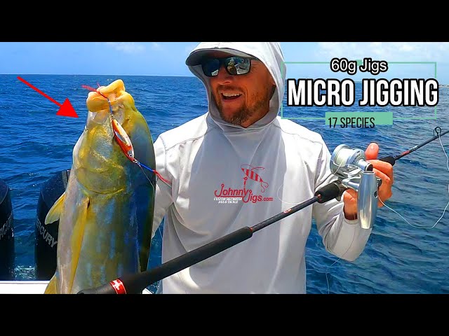 Micro Jigging is AWESOME, 17 Different Species