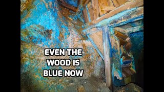 Wild Underground World Of Blue: A Natural Marvel