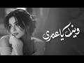 وينك يا عمري أغنية حزينة تدخل القلب طرب 2026 