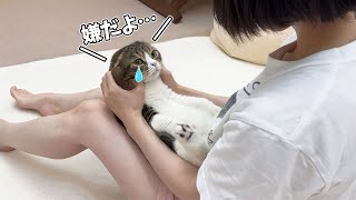 大嫌いな歯磨きをされると悲しむ猫にフェイスマッサージをしたら可愛すぎたw