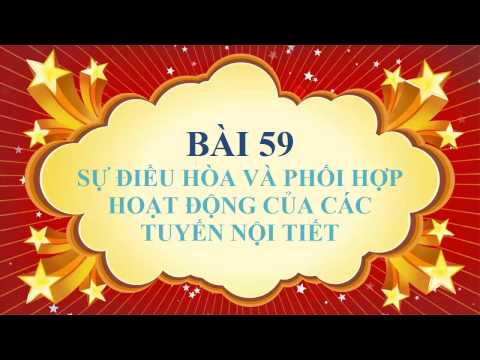 Video Sinh học lớp 8 - Bài 59 - Sự điều hòa và phối hợp hoạt... - youtube