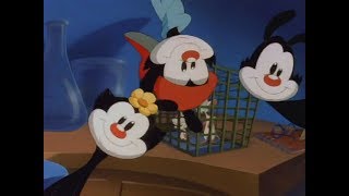 Animaniacs - Pinky And The Brain Intro Variations Russian 2003 Dub By Sts
