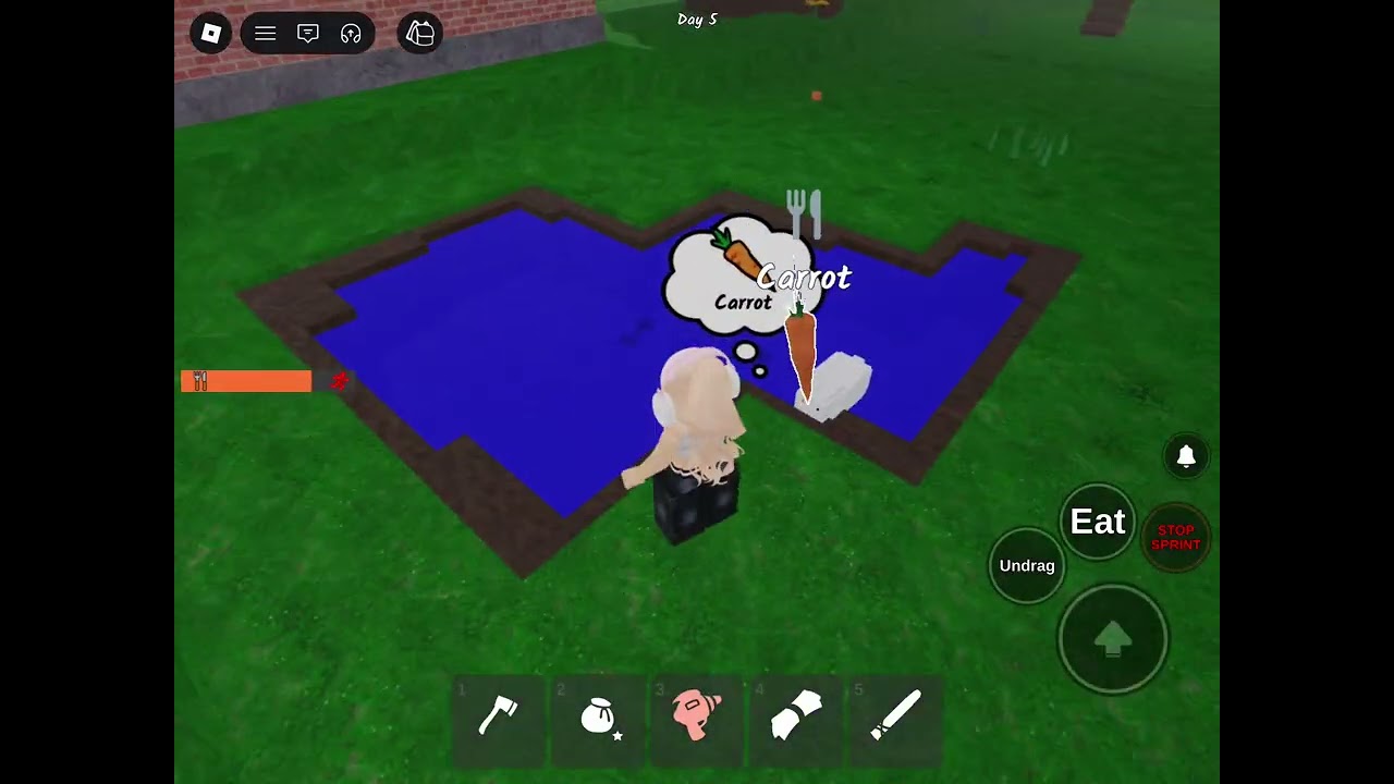 Allison Tries to Survive 99 Nights in the Forest… What Happens?! 😲🌲