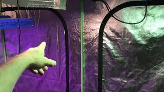 How to grow Cannabis like a guru. Season 4 tent 2 video 1