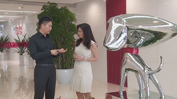 The robot revolution at JD.com | Managing Asia