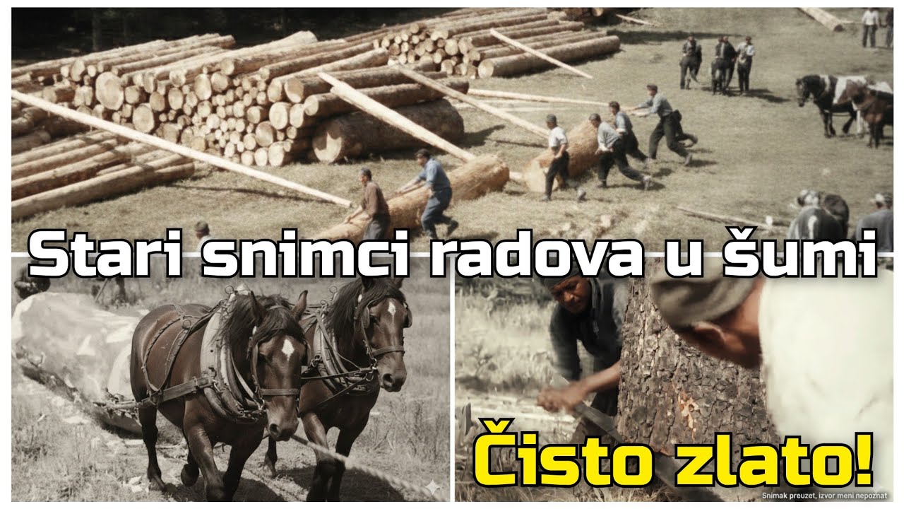 Radovi u šumarstvu u Bosni | Stari snimci | Istorija | Gorštak