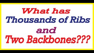 What Has Thousands of Ribs and Two Backbones ? Puzzles & Riddles