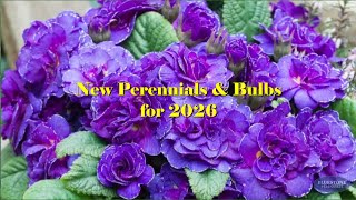 New Perennials & Bulbs for 2026