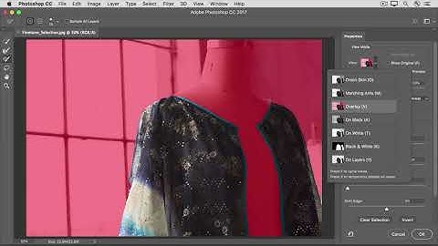 Adobe Photoshop Tutorial : Fine Tune a Selection : CC