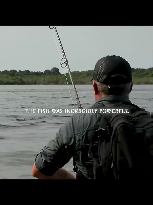 #fishing #fishingvideo