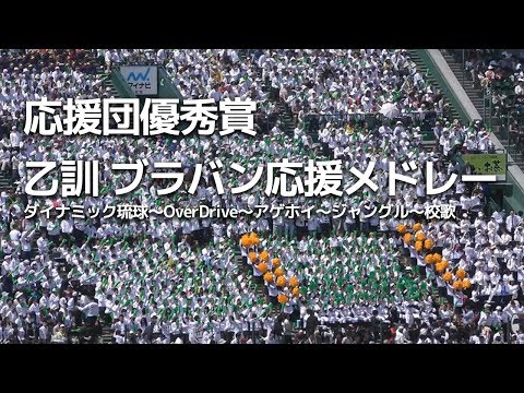 2018春 応援団優秀賞 乙訓 アゲホイ、ジャングル等 ブラバン応援メドレー