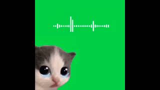 why is this cat so sad? (funny singing cat) 😿✨