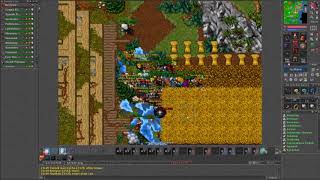 Berlyon the parcel of Duna (Tibia)