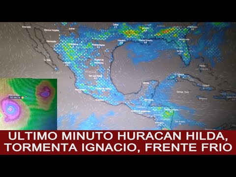 Video: Stillhouse Dona Contraventanas Para Tormentas A Hogares Propensos A Huracanes