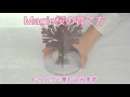 マジック桜育て方.mpeg