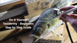 Do it Yourself Taxidermy - Beginners Bass Mounting Guide