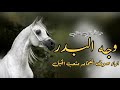 شيلة حيا الله اللي مثل وجه البدر 2024 اداء صوت الفخامه متعب الخيل mp3