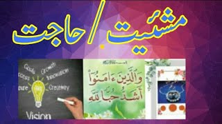 Mashee.at Hajat Motivation Mindset Changing Habits Purevision360