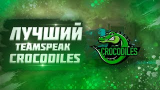 C4-CUP ❘ TeamSpeak «Crocodiles» ❘ Wot blitz
