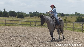 Birds Kaylees Shadow - swinging the rope and dragging! - ValleyViewRanch.net