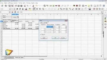 Tutoriel Calc 5 : Filtrer les données et grouper des catégories | video2brain.com