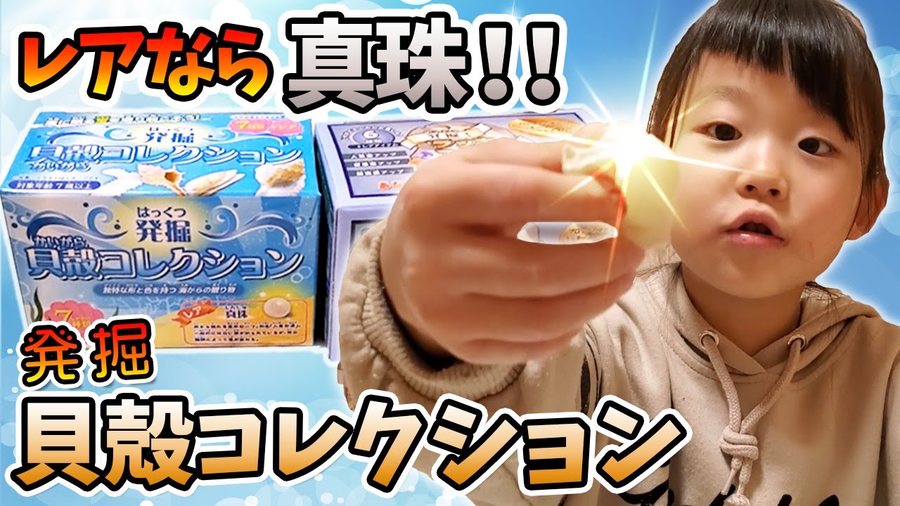 真珠が出るかも 発掘 貝殻コレクション 100均 おもちゃ Youtube