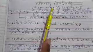 Hierarchy of Learning Net Worth