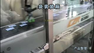 Case packer, bag-in-box machine