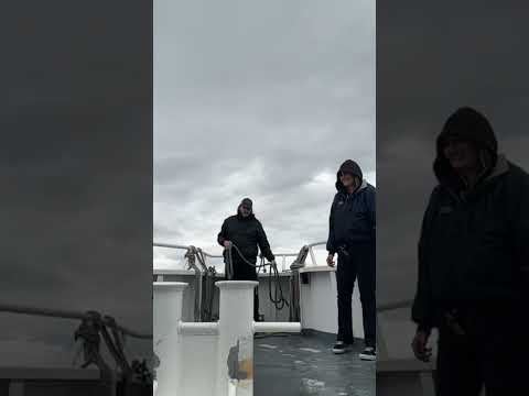 Boat Life |