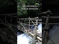 curug paling sejuk #curug #wisata #short